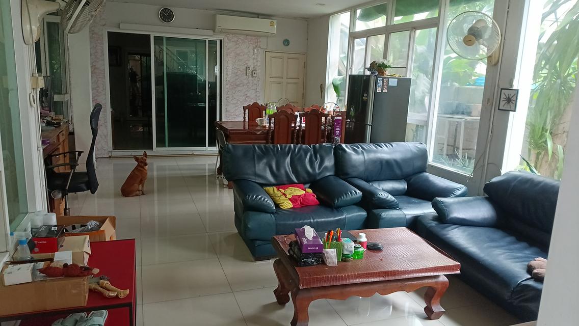 บ้านเชียงใหม่ หลังใหญ่ ตัวเมือง รูปที่ 7