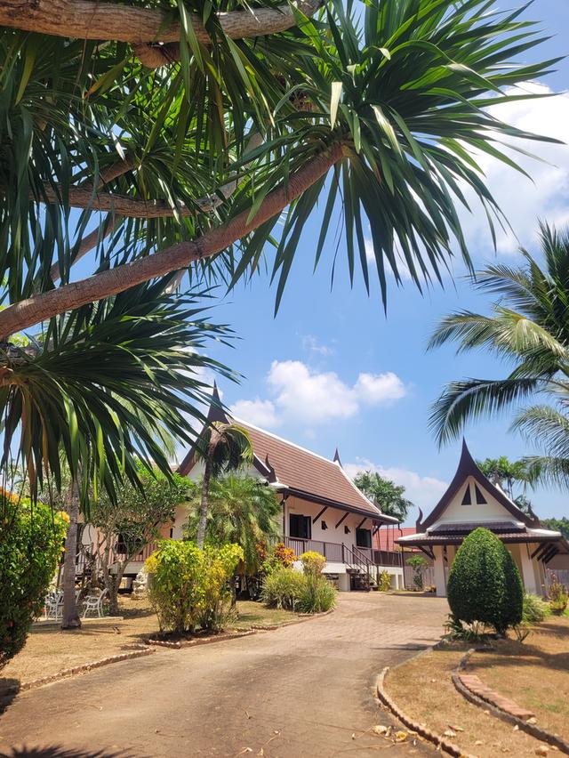 ขายบ้าน 1ไร่ พร้อมสระว่ายน้ำ ราไวย์ ภูเก็ต 2