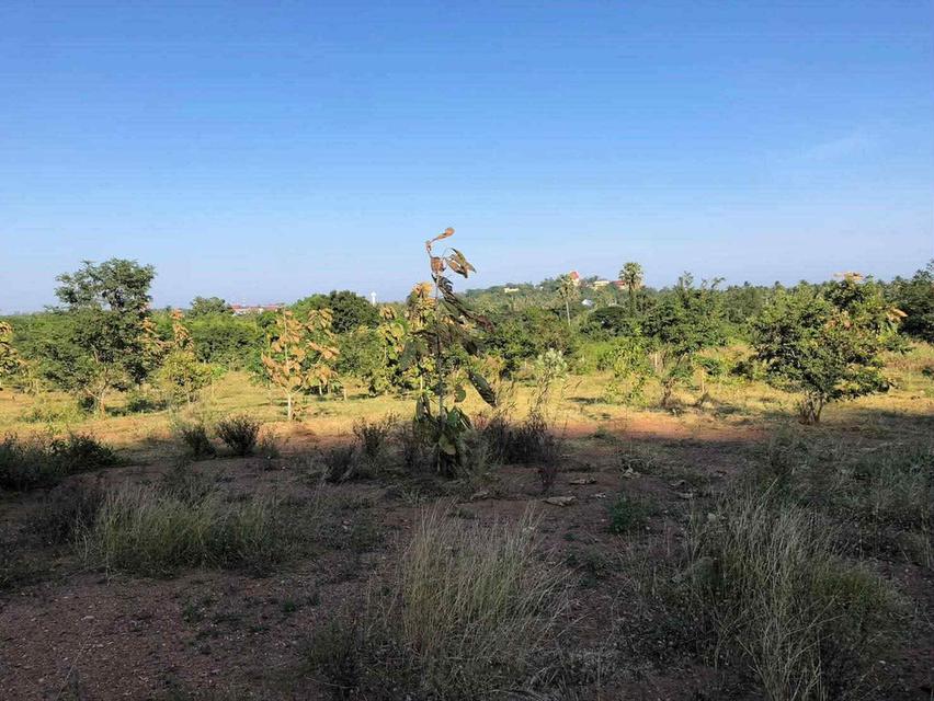 ที่ดินภูเขา หัวหิน ปากน้ำปราณ 2 ไร่ 2