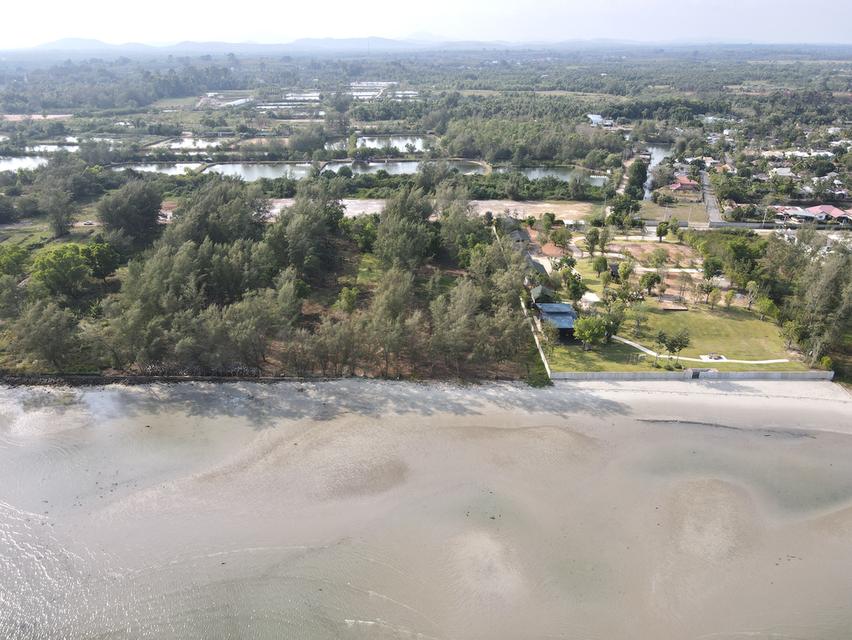 ขายถูกมาก !! ที่ดินติดทะเลระยอง 4 ไร่ ไม่มีถนนคั่น 6