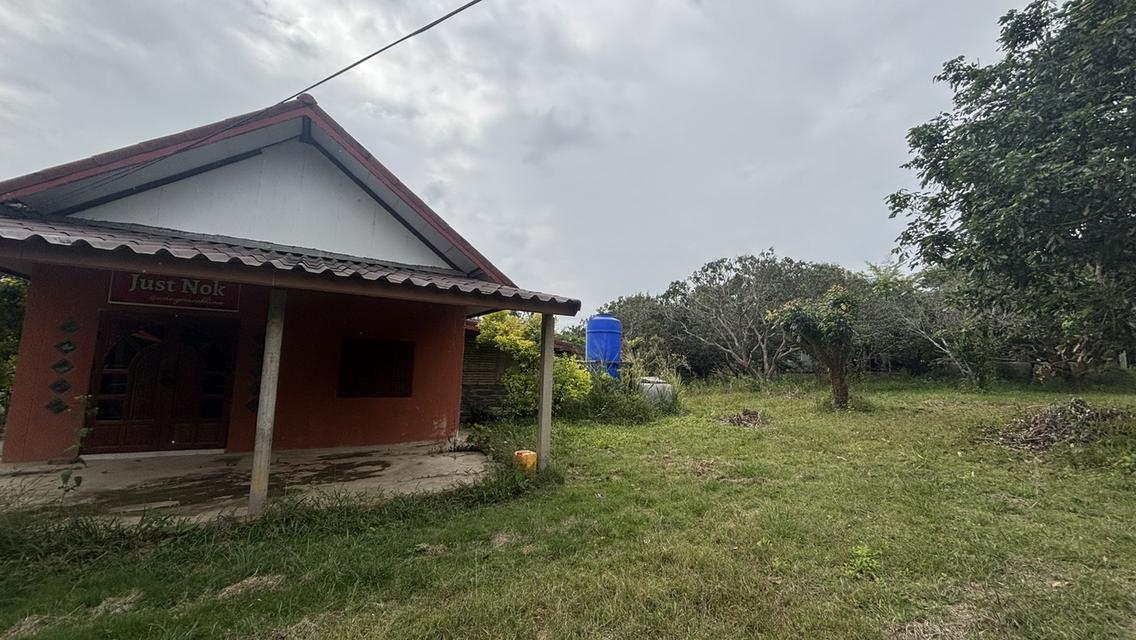 บ้านพร้อมที่ดิน 4 ไร่ 2 งาน 3.2 ล้าน อ.วังน้ำเขียว 6