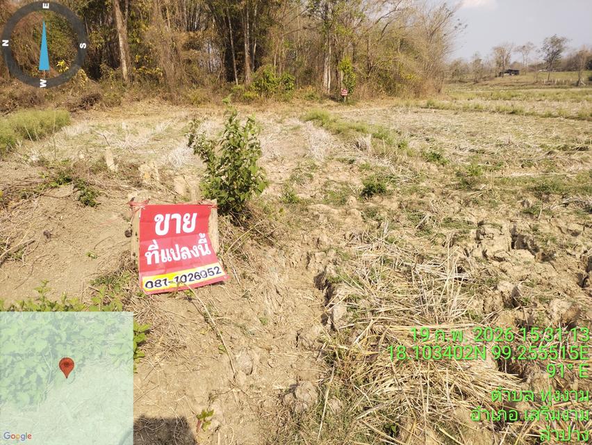 ที่ดินพร้อมสวนปลูกสร้าง 12