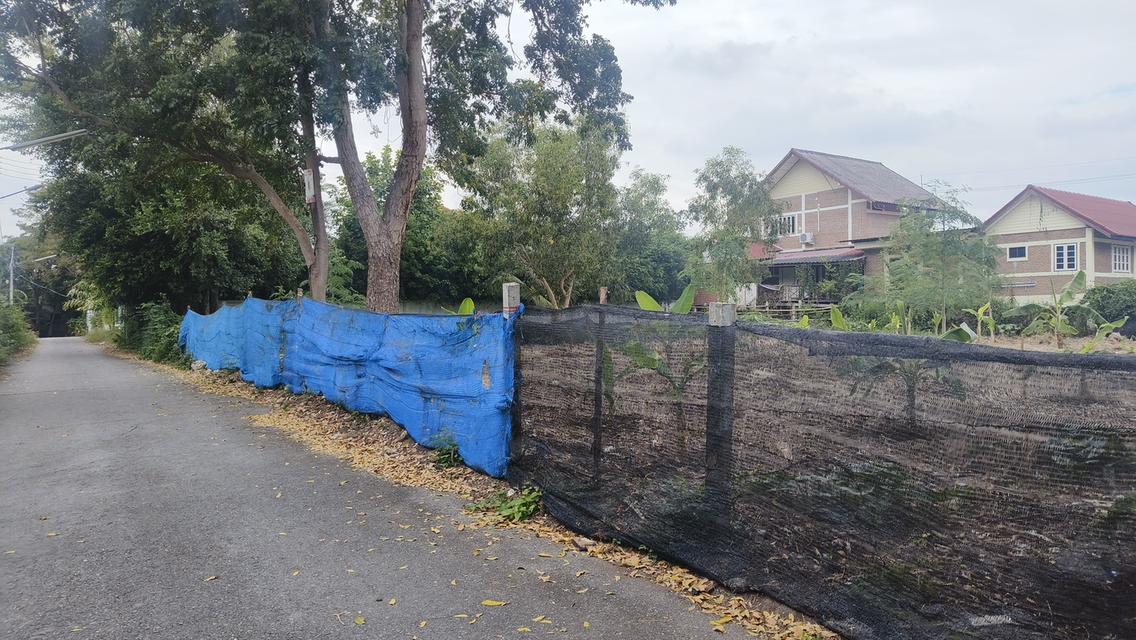 ขายถูก ที่ดินแปลงเล็ก หาดสุขเสมอ ชะอำ 5