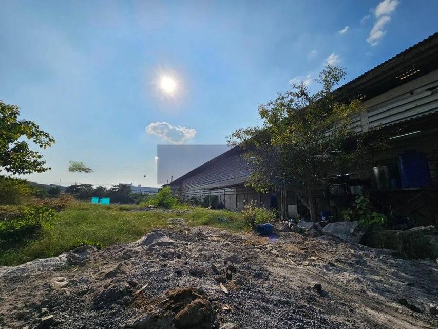 ขาย โรงงาน พร้อมใบอนุญาต รง.4 (ผังเมืองสีม่วงลาย) 10