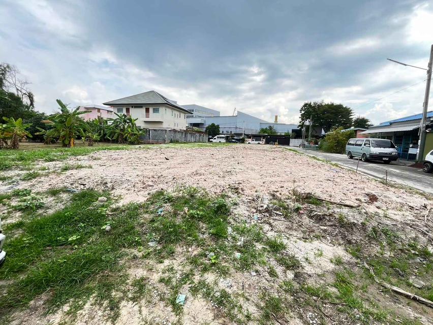 ขายที่ดินจัดสรรเสม็ดซอยจูกลิ่นเนื้อที่ 20 ตรว. ล็อคละ500,000฿ใกล้แยกอ่างศิลา700เมตร เมืองชลบุรี 2