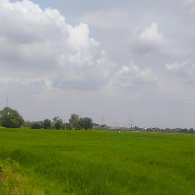 ที่ดินแปลงสวยอ.เมืองจ.ราชบุรี 1