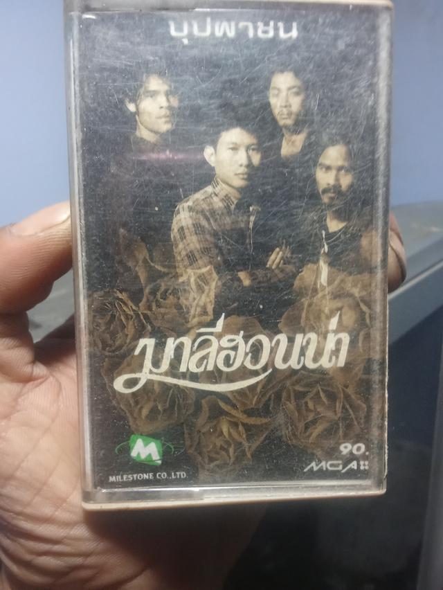 เทปเพลงเพื่อชีวิตวงมาลีฮวนน่า#บุปผาชน