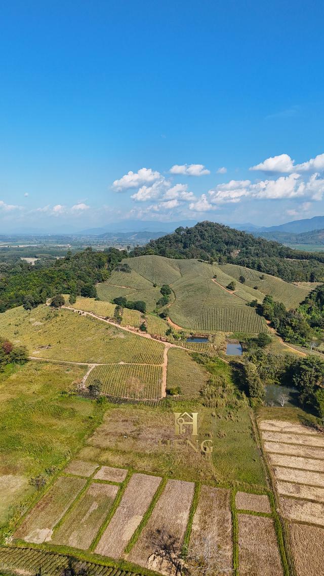 ที่ดินวิวภูเขา 88 ไร่ ติดถนนใหญ่ ทำเลอนาคตไกล แม่จัน  โอกาสพัฒนาได้หลายรูปแบบ!” 1