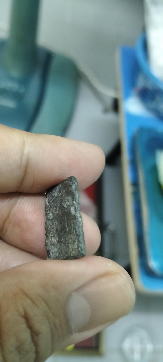 พระเครื่อง หลวงปู่ศุข วัดปากคลองมะขามเฒ่า รูปที่ 7