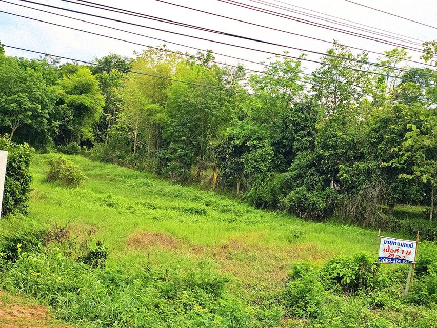 ขายที่ดิน ติดถนนใหญ่ ถนนอุดร-กุดจับ มีรถประจำทางผ่านตลอด และอยู่ใกล้แหล่งชุมชน ห้างสรรพสินค้า เดินทางไม่ถึง 20 นาที 3