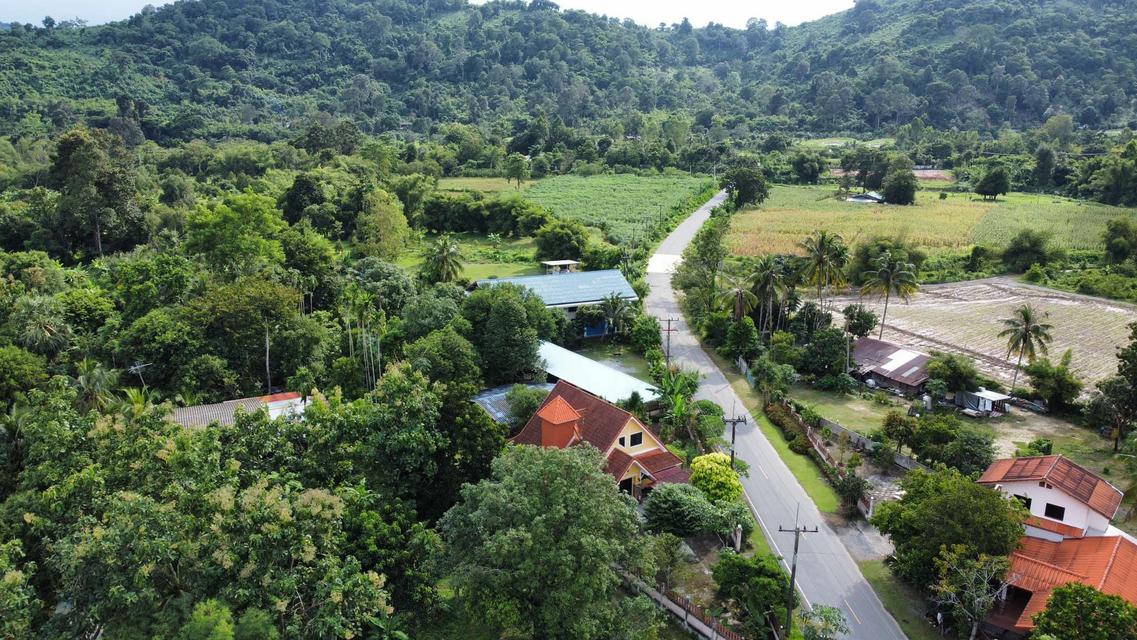 รูป บ้านพร้อมที่ดิน 5
