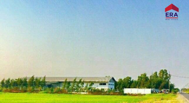 ขายที่ดินพร้อมโกดัง  ใกล้ถนนสุวินทวงศ์ อำเภอเมืองฉะเชิงเทรา  3