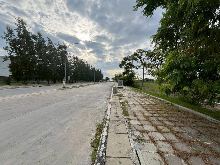 ขายที่ดินเปล่า ติดศูนย์การเรียนรู้ ซิโน-ไทย ติดถนนบางบัวทอง-สุพรรณบุรี 3