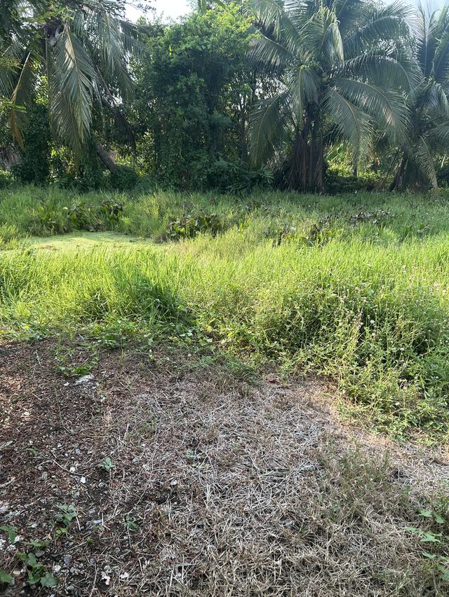 บ้านเดี่ยว ตำบลสวนส้ม 7