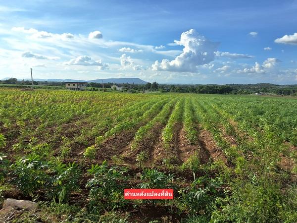 ขายที่ดินโฉนด 12.5 ไร่ ต.หินซ้อน อ.แก่งคอย จ.สระบุรี บรรยากาศดี โทร 094-5276439 10