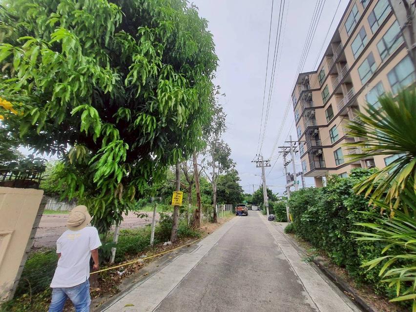 Vายด่วน ที่ดินใกล้โรบินสันศรีสมาน 200 ตารางวา ติดถนนคอนกรีตสาธารณะ ถมแล้ว ซอย จุฬา 3 อ.ปากเกร็ด จ.นนทบุรี 3