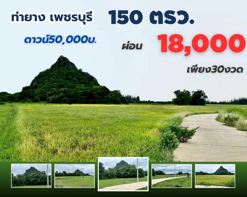 ที่ดิน ท่ายาง จ.เพชรบุรี