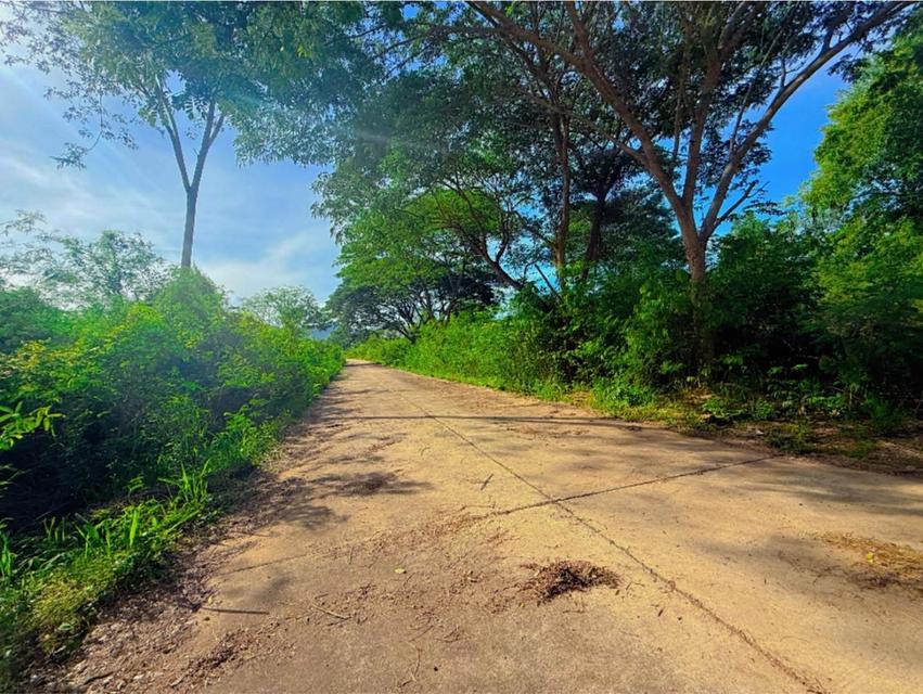 ที่ดินขายต่ำกว่าราคาประเมิน แก่งกระจาน 3