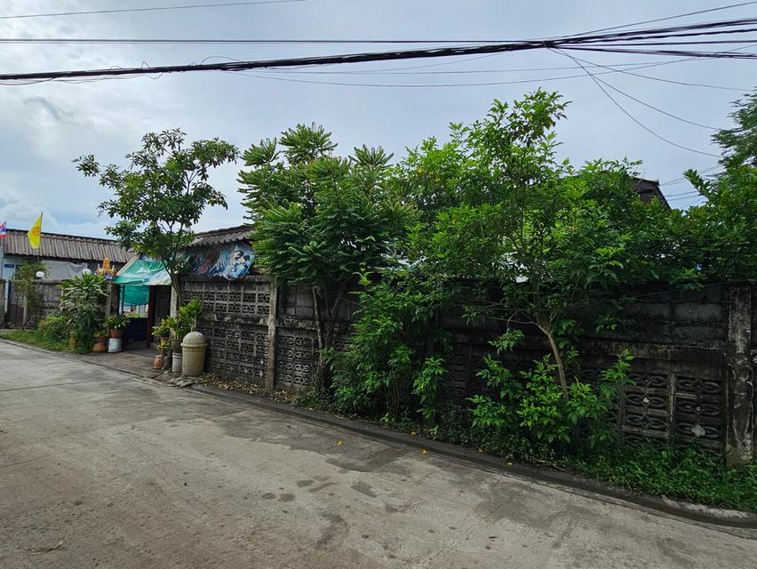 🏡 ขายด่วน❗️ที่ดินแปลงมุมติดถนนซอย พร้อมบ้านครึ่งปูนครึ่งไม้ และห้องเช่า 8 ห้อง ซอยรามอินทรา 47 2