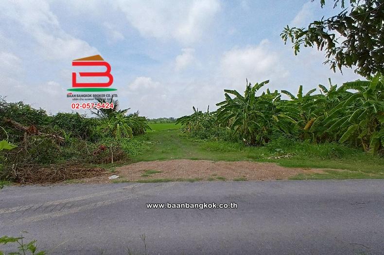 ที่ดินเปล่า ไมตรีจิต 10 แยก 4 เนื้อที่ 41-0-52 ไร่ ใกล้โรงพยาบาลรัตนประชารักษ์ แขวงสามวาตะวันออก เขตคลองสามวา กรุงเทพมหานคร 8