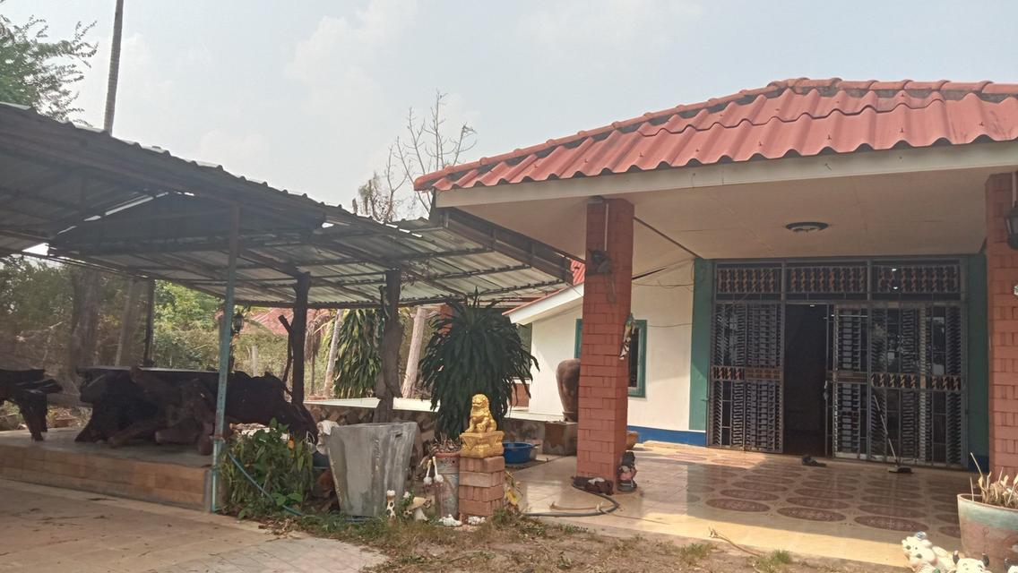 ขายที่ดินพร้อมบ้าน 1 หลัง เจ้าของขายเอง อำเภอกบินทร์บุรี จังหวัดปราจีนบุรี 1