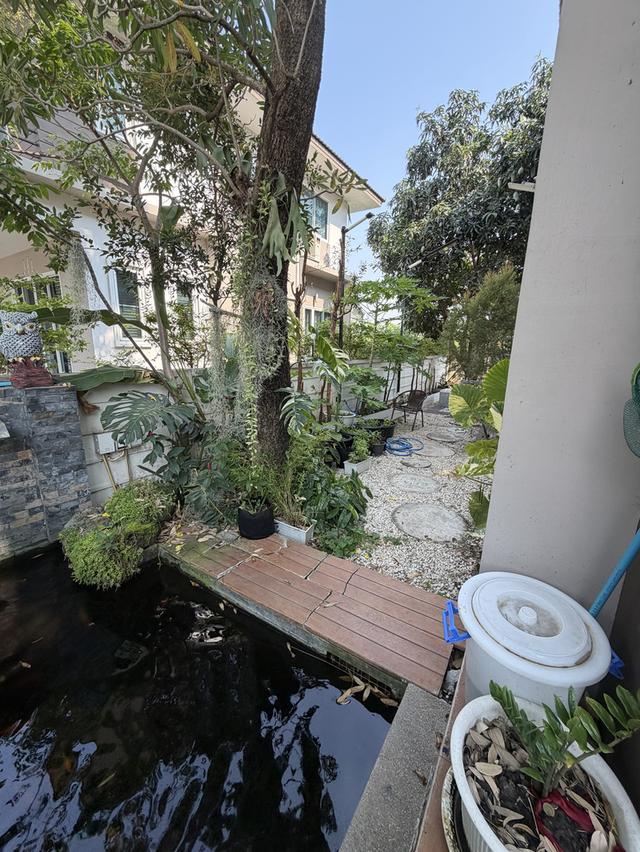 บ้านเดี่ยว 2ชั้น แถวสุวรรณภูมิ 3