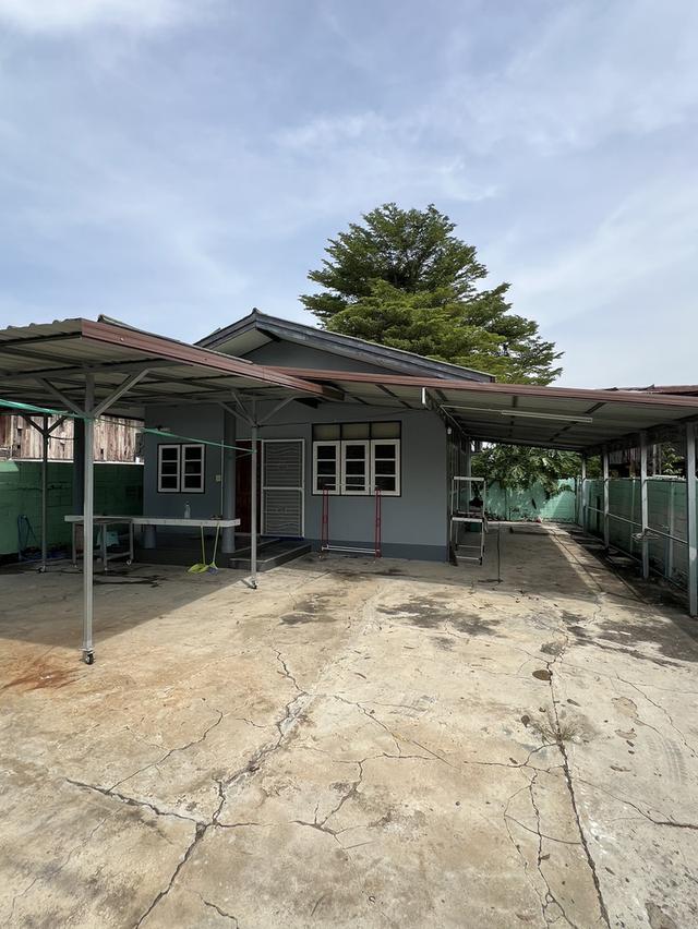 ขายบ้านชั้นเดียว เจ้าของขายเอว 1