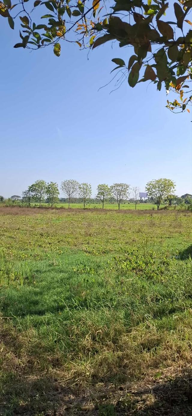 5 ไร่ ทางเข้าไทวัสดุ  โคราช บายพาส ปักธงชัย - จอหอ  9.8 ล้าน 14