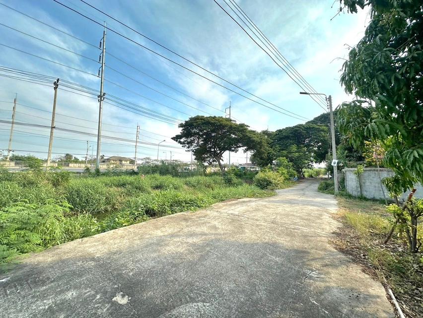 ขายที่ดิน  3