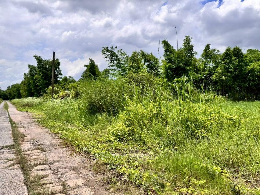 ขายที่ดินสวย ฉลองกรุงการ์เด้น ซอยวัดอู่ตะเภา ตรงข้าม FBT ฉลองกรุง (N.1753)