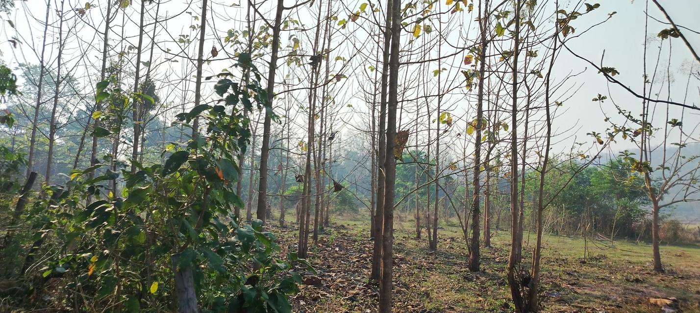 ที่โฉนดวิวเขา ห่าง อบต 1กิโล ที่หน้ากว้างติดถนน80เมตรวิวสวยมากใกล้ชุมชน 8