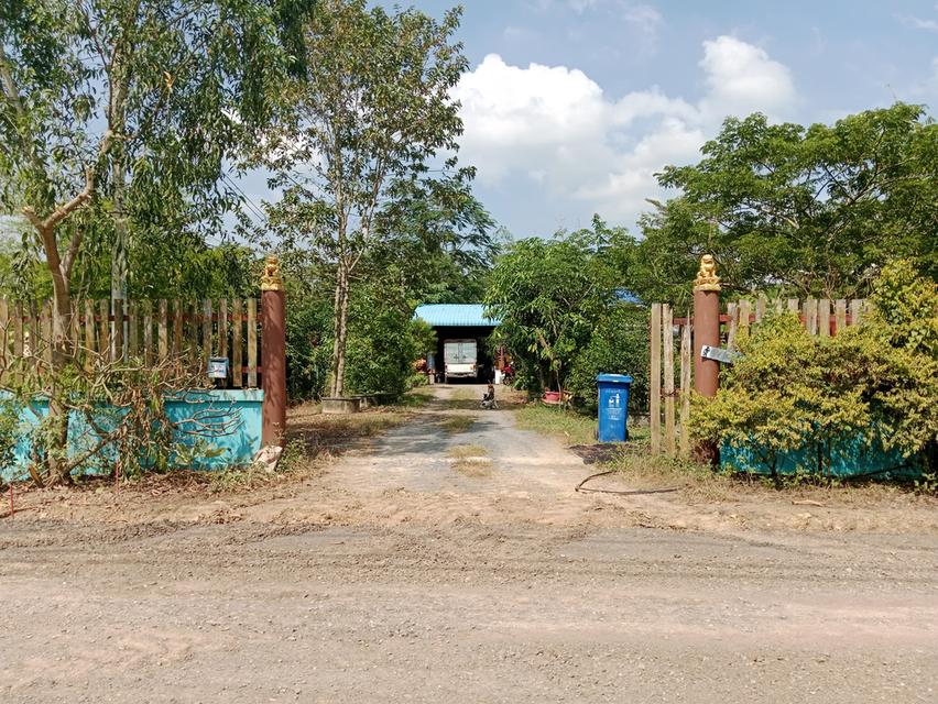 ขายบ้านสวน2ไร่ คลองหก คลองหลวง ปทุมธานี เส้นเดียวกับ ม.ราชมงคลคลองหก 1