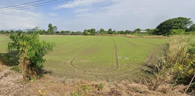 ประกาศขาย พื้นที่ดิน ที่ดินติดถนน และลำคลอง (2 ด้าน) ต.วัดไทร อ.เมืองนครสวรรค์ จ.นครสวรรค์ VERY GOOD 6