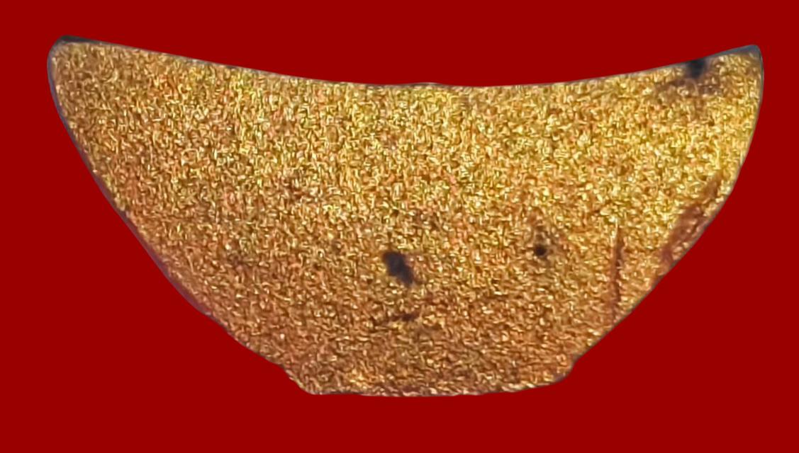 หลวงพ่อพระพุทธโสธร รุ่นชนะภัย-ชัยชนะ รูปที่ 5