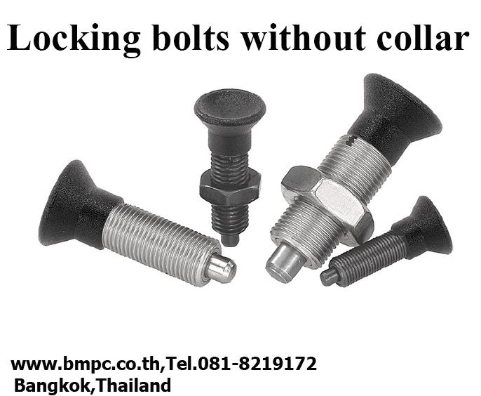 Locking bolt, Index plunger, Plunger with pin, สลักล๊อกตำแหน่ง, Plug indexing, Disc spring 2
