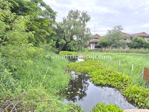 ที่ดิน หมู่บ้าน สวนเอก เลคปาร์ค ลําลูกกา ปทุมธานี 9