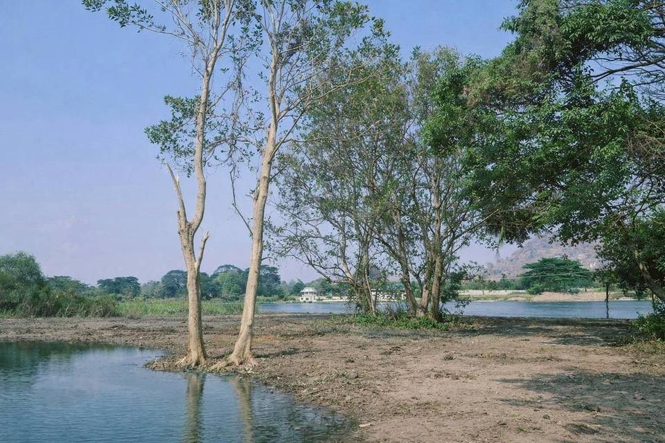 ขายที่ดิน ริมน้ำในเมืองโอกาสแบบนี้ไม่ได้มีบ่อย — แปลงใหญ่ วิวภูเขา ติดแม่น้ำแควน้อย 3