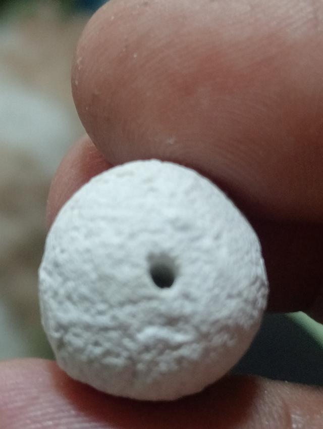 ลูกอมหลวงปู่ดู่ วัดสะแก 3