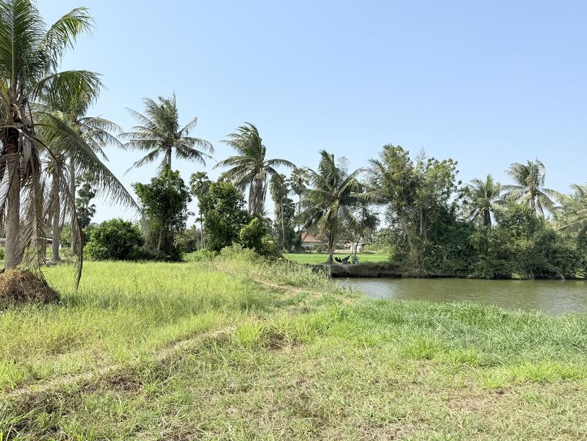 ที่ดินสวนเกษตรติดน้ำ D13 ใกล้ทะเล 2 ไร่ ยกแปลง 690,000 บาท 4