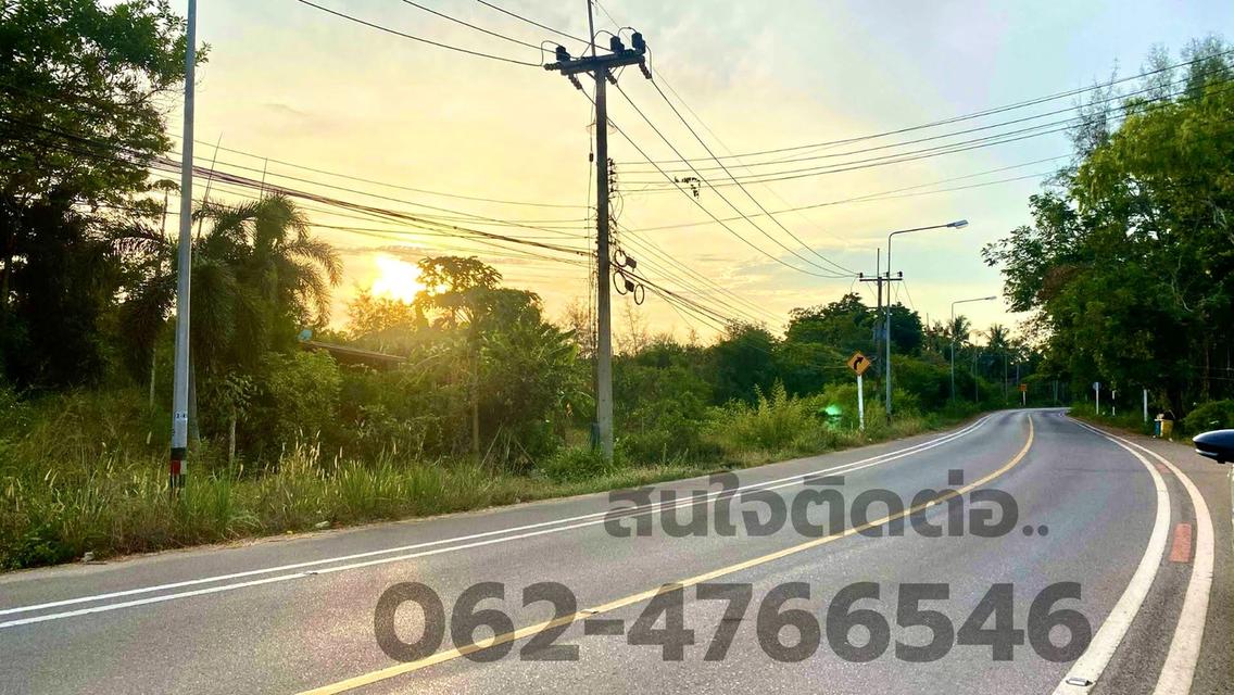 ที่ดินติดถนนหลัก ใกล้สนามบินชุมพร ใกล้ทะเล และเดินทางสะดวก 3