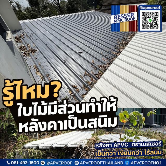 "ระวัง! ต้นไม้ข้างบ้านอาจเป็นศัตรูตัวร้ายของหลังคา"