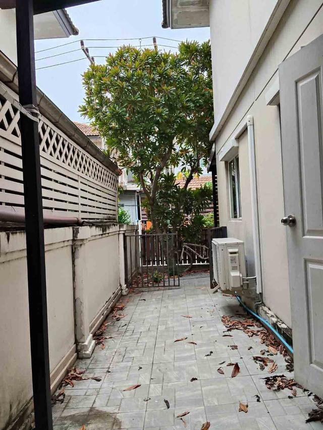 พฤกษาวิลเลจ29 5