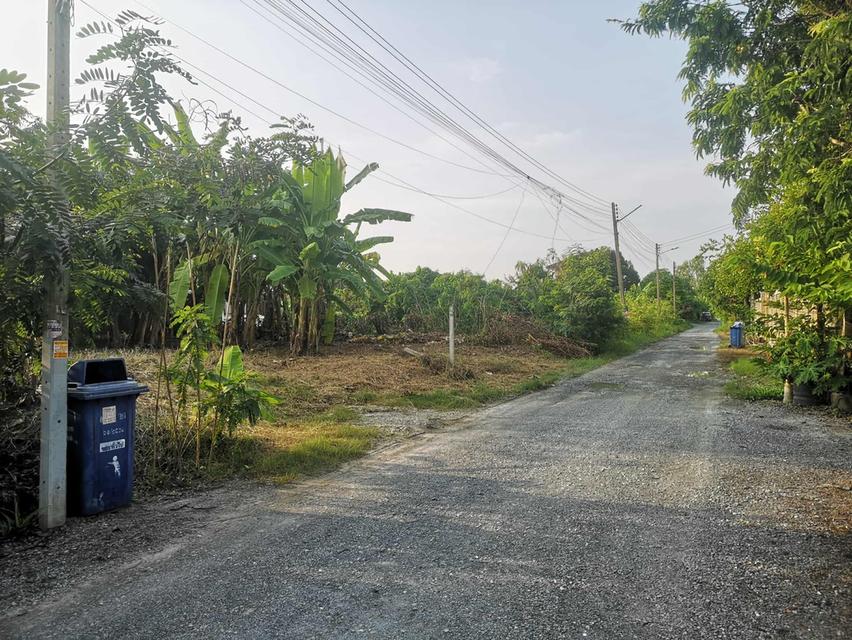 ที่ดินเปล่าถมแล้ว 50 ตารางวา 2