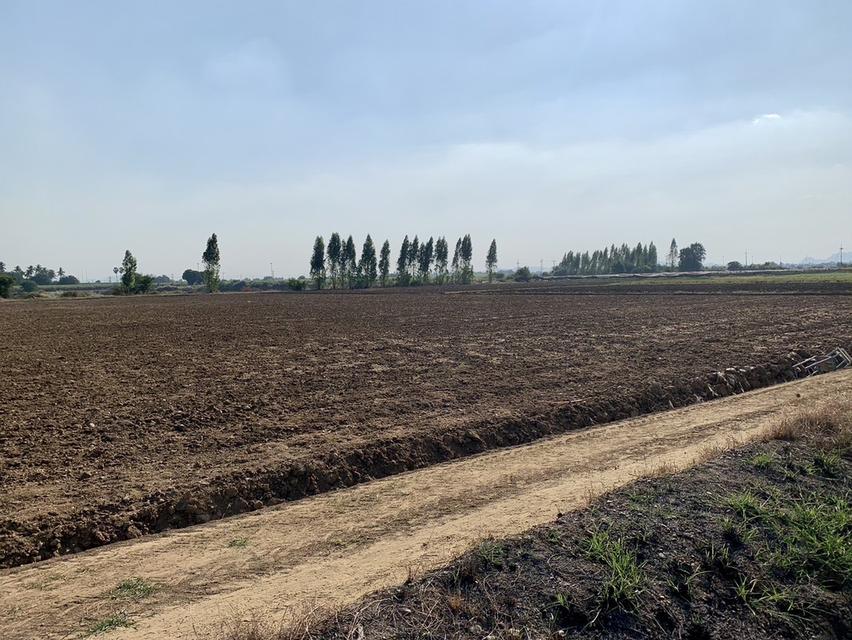 ขายที่ดินสวย16ไร่ ต.วังศาลา อ.ท่าม่วง แปลงสวย ทำเลดี แหล่งชุมชน ใกล้กรุงเทพ เดินทางสะดวก 1