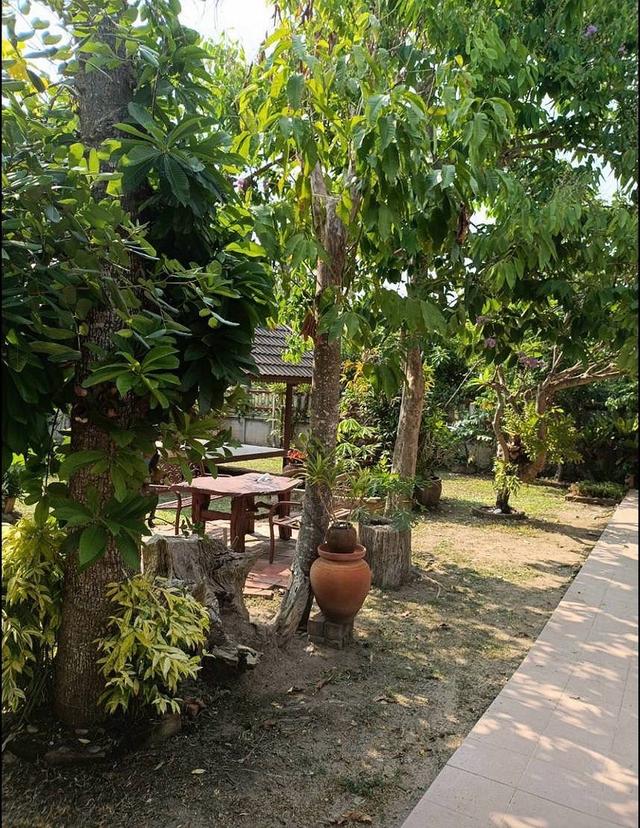 บ้านเดี่ยวให้เช่าใกล้ทะเล บรรยากาศดี ศรีราชา ชลบุรี 9