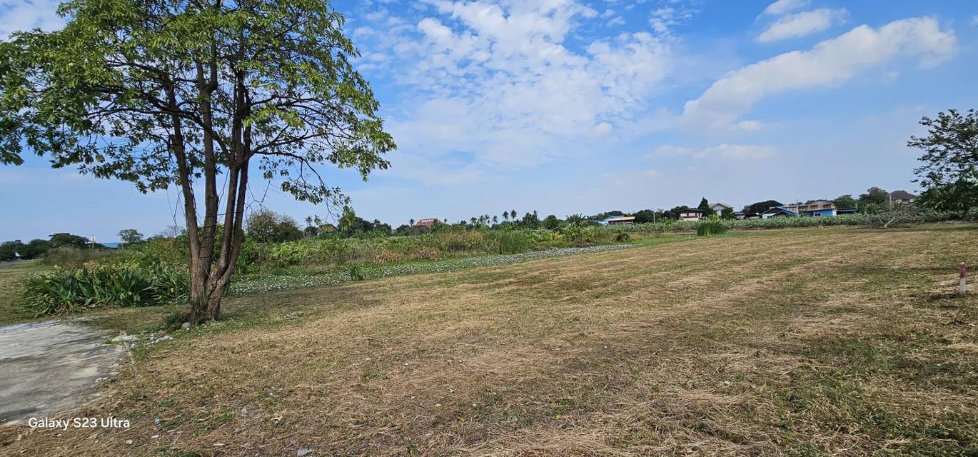 AS059 ขายที่ดินขนาด 21-2-11 ไร่ สวยงามติดถนน พร้อมถมแล้ว ใกล้ถนนพระราม 2 ถนนกว้างการเดินทางสะดวก สมุทรสาคร 1