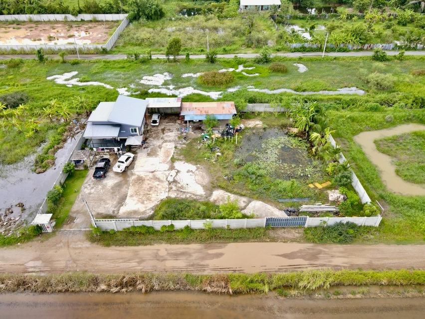 ที่ดินพร้อมบ้าน คลอง 8หนองเสือ ปทุมธานี  7
