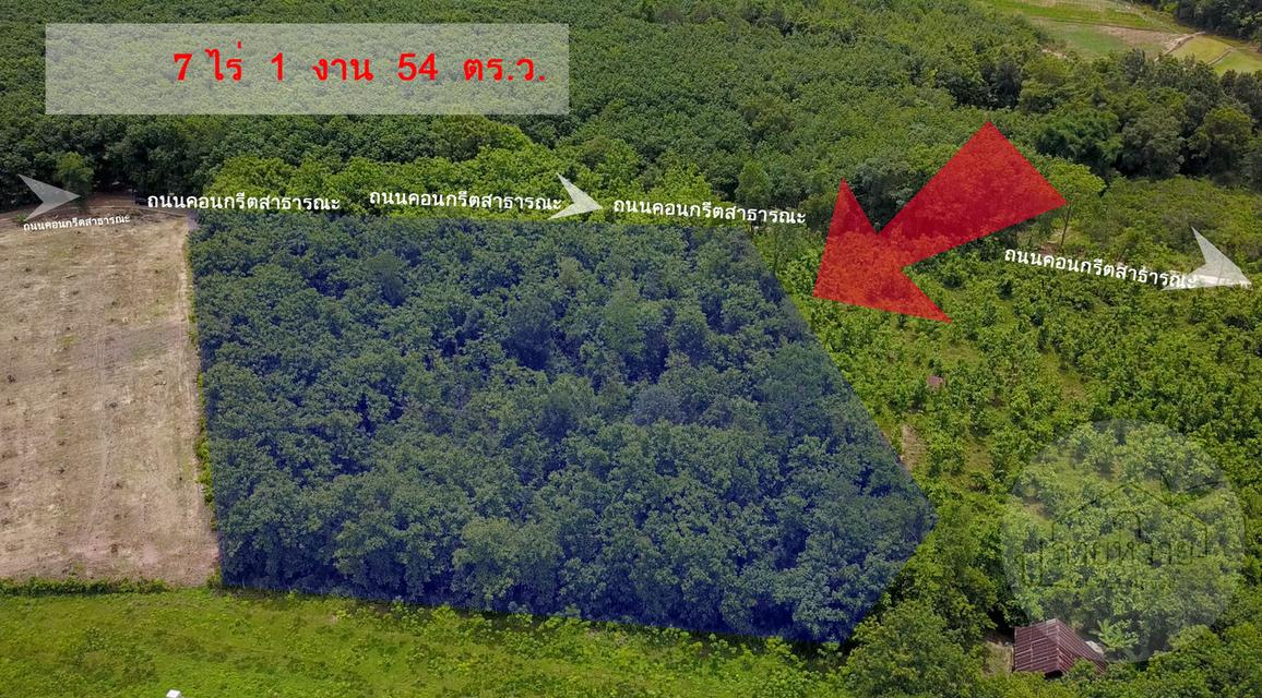 ขายที่ดิน จ.น่าน เนื้อที่ 7 ไร่ 1 งาน 54 ตร.ว. 9