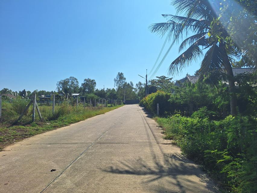 ที่ดินวิวเขายายดา ระยอง 8