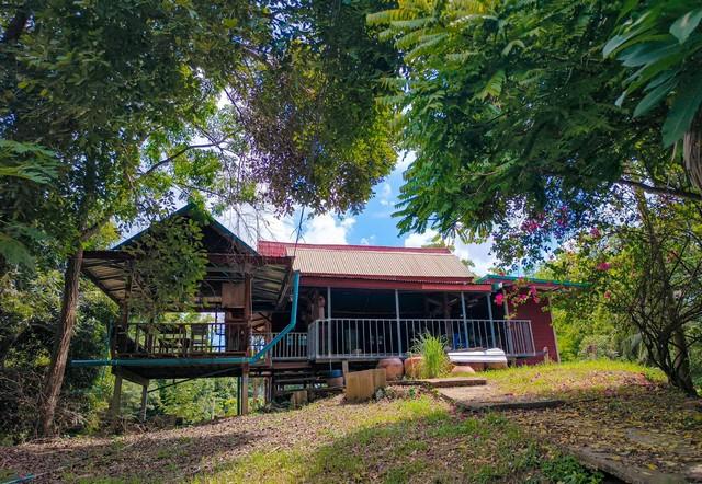 ขายที่ดินทำเลทองพร้อมสิ่งปลูกสร้าง บนเนื้อที่ 18 ไร่ 2 งาน 19 ตารางวา พิษณุโลก 9